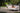 Ark Daybed