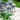 Pebble 8 Seat Rectangular Dining Set with Fire Pit Table