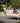 Ark Daybed