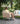 Ambition 3 Seat Sofa Set